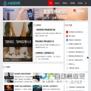 水族宠物网